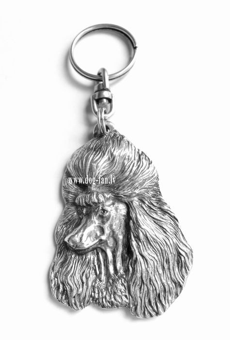 poodle copy